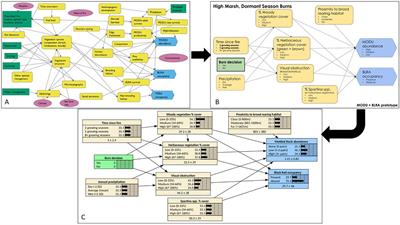 RE-ARMing salt marshes: a resilience-experimentalist approach to prescribed fire and bird conservation in high marshes of the Gulf of Mexico